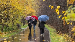 Узгидромет: в выходные дни ожидается прохладная и дождливая погода