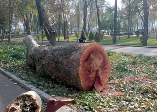 В Узбекистане будет усилена охрана животного и растительного мира