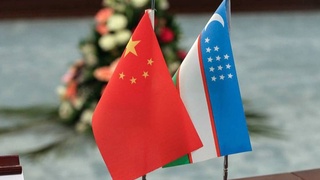 Узбекистан изучает опыт Китая в защите экосистем