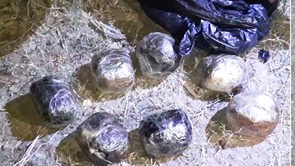 Гиёҳвандфурушларга нисабатан суд ҳукми ўқилди