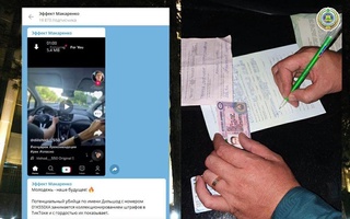 Сын хокима Алмалыка, нарушавший правила дорожного движения, был оштрафован