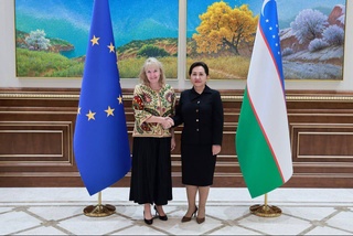 The President of the Senate held talks with the Special Representative of the European Union for Central Asia