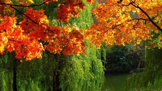 Прогноз погоды на 1 октября