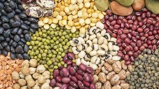 Таиландга дуккакли дон маҳсулотлари экспорти йўлга қўйилди