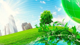 Внимание к проблемам экологии - долг каждого гражданина Земли