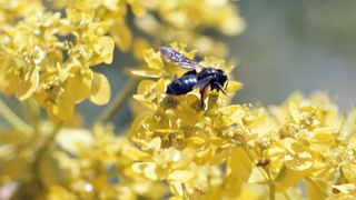 Dam olish kunlari kuzatiladigan ob-havo maʼlumoti eʼlon qilindi