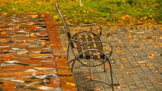 Куз фаслининг охирги кунларини салқин ва ёмғирли об-ҳаво билан кузатамиз