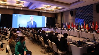 Экологик муаммоларни ҳал этиш ва инсон ҳуқуқларини ҳимоя қилиш: халқаро ташкилотлар ва инсон ҳуқуқлари бўйича миллий институтларнинг пешқадамлиги