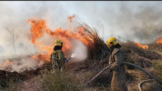"Зарафшонʼʼ миллий табиат боғи ҳудудида ёнғин содир бўлди