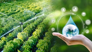 Эффективно использовать водные ресурсы