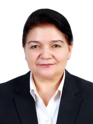 Сайловолди ташвиқоти қачон бошланади?