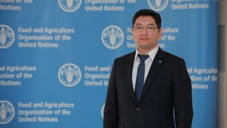 Ўзбекистон ва ФАО: ҳамкорлик портфели 3 баробар ортди
