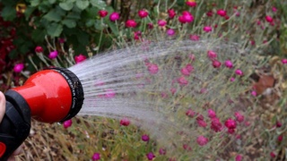 Atrof-muhitni xavfli kimyoviy moddalardan tozalash usuli topildi