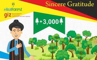 А Приаралье «зеленеет»