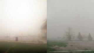 ССВ чангли ҳавода аллергик ва астма касаллиги бор беморларга ташқарига чиқмасликни тавсия этди