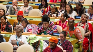 В ООН открылась 20-я сессия Постоянного форума по вопросам коренных народов