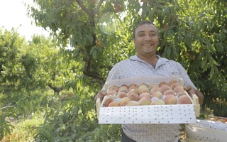 USAID и Министерство инновационного развития объединяют усилия для развития агробизнеса и агротуризма в Узбекистане