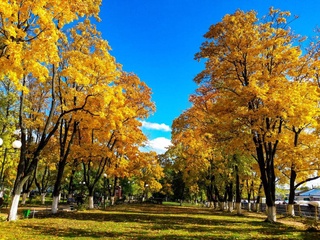 Weather forecast for October 23rd