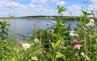 Пешгӯии обу ҳаво барои 7 июл