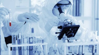 Министр здравоохранения РФ предложил странам ШОС обмениваться штаммами коронавируса для изучения