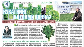 Кўкатнинг боғлами қанча?