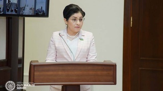 Senatorlar Oʻzbekistonda 2030-yilga qadar gender tenglikka erishish strategiyasini tasdiqladi