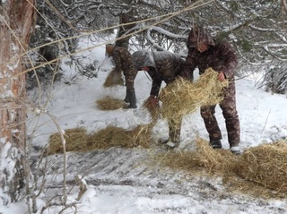 В зимний период сотрудники заповедников обеспечивают обитателей природоохранных территорий кормами
