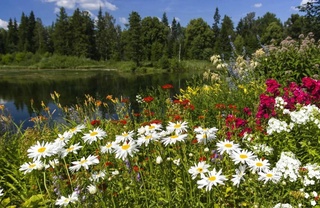 Weather forecast for September