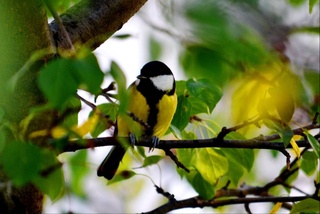 Прогноз погоды на 16 апреля