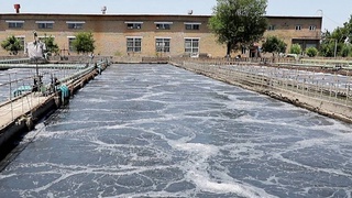 Есть ли решение проблемы неприятного запаха в Сергели?