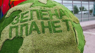 Как в стране решаются вопросы экологической безопасности