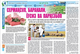 Moʻgʻulistondan keltirilgan zotdor qoʻylar qay jihati bilan ahamiyatli?