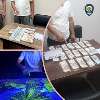 Пойманы с поличным: попытки продажи земельных участков завершились задержаниями