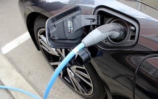 У электромобилей будут отдельные регистрационные номерные знаки