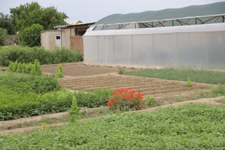 Нолиганнинг нони бутун бўлмайди