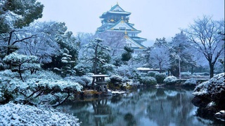 Японияда уч ҳафта ичида кучли қор бўрони туфайли 29 киши вафот этди