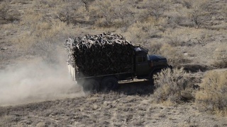 Саксовулни ноқонуний кесганлар жаримага тортилди