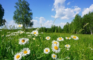 В выходные дни в Узбекистане будет тепло, местами ожидаются дождь и грозы