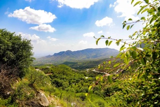 Охраняемые природные территории Узбекистана будут включены в список объектов национального природного наследия