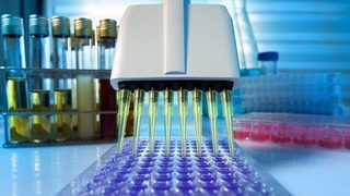 Тест намуналарини текширмасдан штрих кодли бланка бераётган лаборатория аниқланди