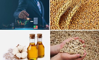 На Узбекской республиканской товарно-сырьевой биржи снизились цены на пшеницу, хлопковое масло и шрот