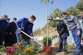 Наманган вилоят ҳокими Наманган шаҳрида дарахт экиш акциясига старт берди