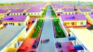 «Махаллабай»: всесторонняя поддержка граждан