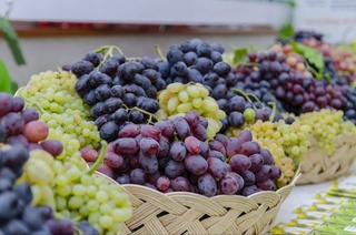 Tashkent region is preparing for the International festival "Uzum Sayli"