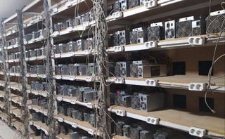 Фарғона вилоятида 2,8 млрд сўмликдан зиёд зарар келтирган майнинг фермаси фаолияти тўхтатилди