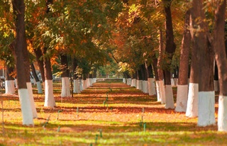 Октябрь ойи қуруқ ва иссиқ ҳаво билан бошланади