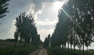 Yakshanba kuni ayrim joylarda vaqti-vaqti bilan yomgʻir yogʻadi