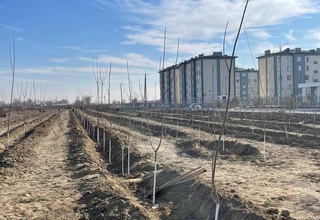 Энг гўзал хулқ