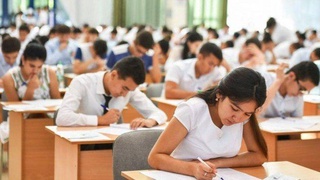 190 375 абитуриентов из 1 074 181, принявших участие в тестовых испытаниях, были зачислены в вузы