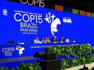 Узбекистану присвоен почетный статус за вклад в сохранение мигрирующих видов